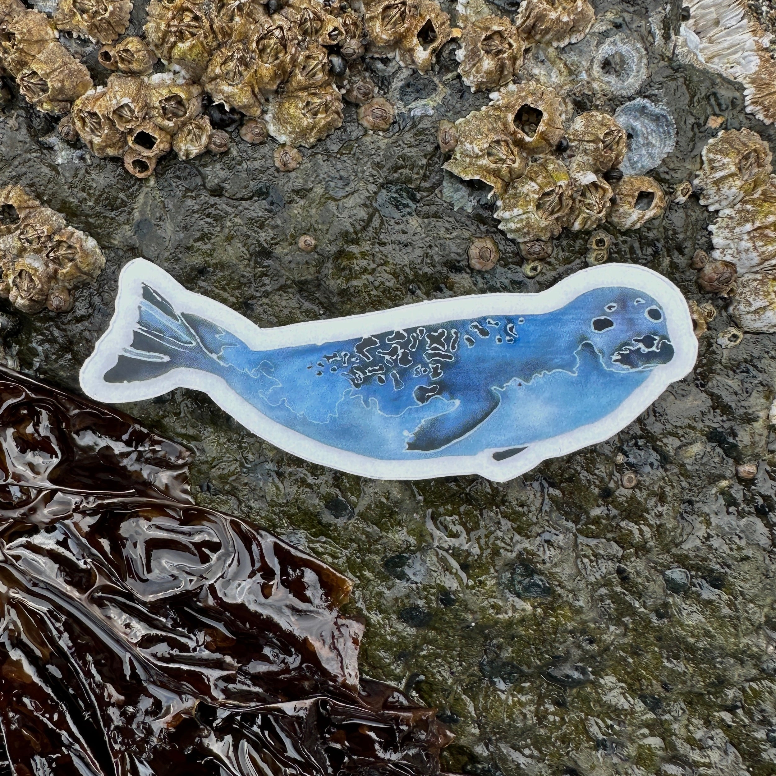 Seal Sticker – Sacral Ocean